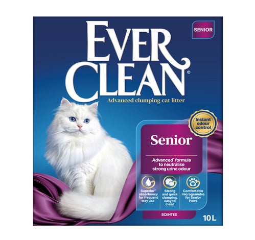 Senior Cat